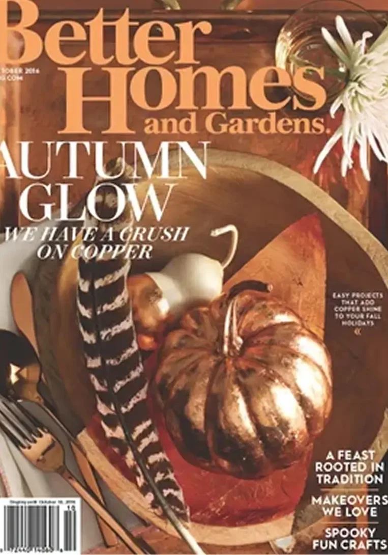 Alison Giese Interiors design work featured in Better Homes & Gardens magazine